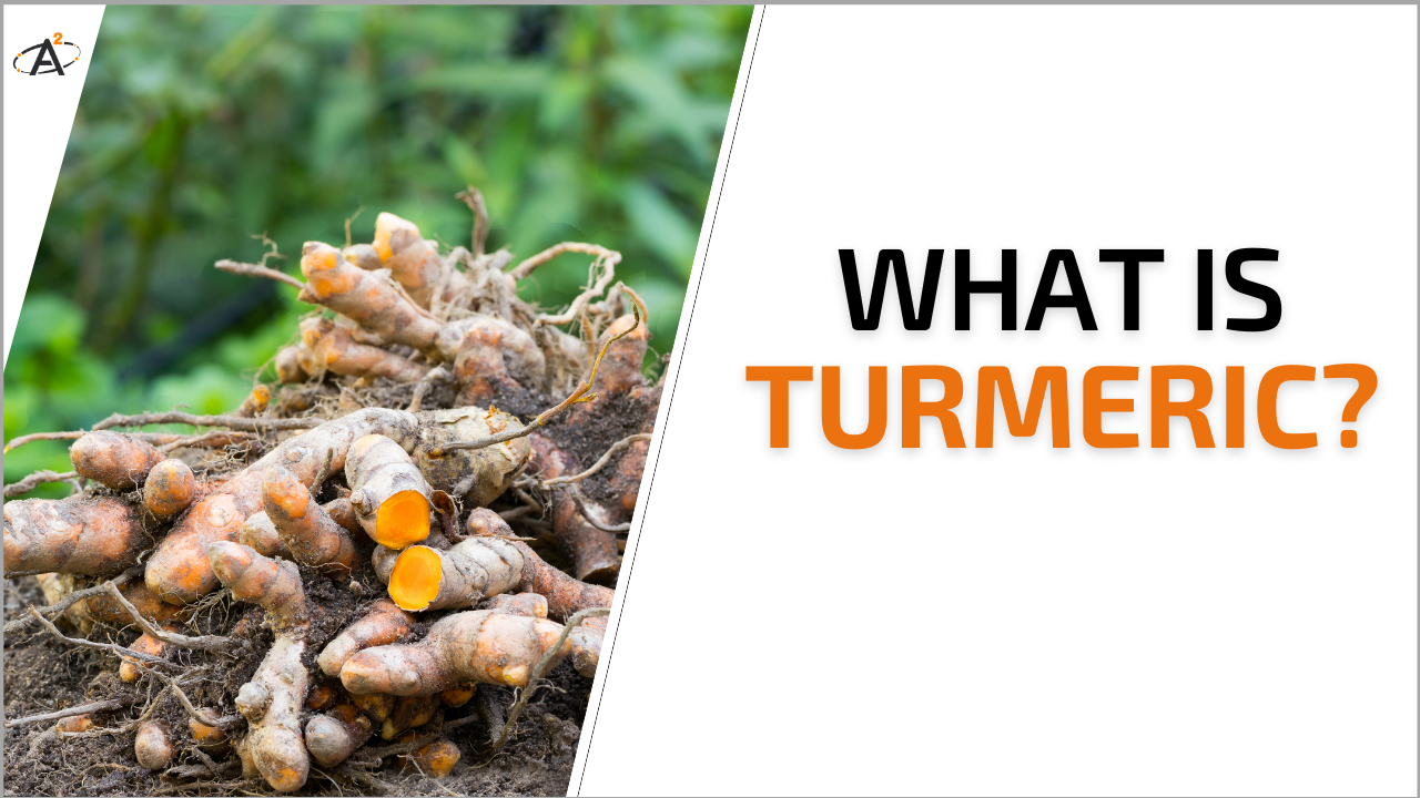 what is turmeric